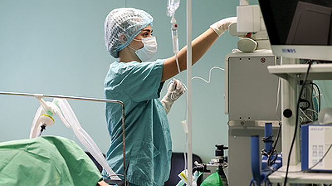 Кузнецова призвала создать ресурсный медицинский центр в Донбассе и Новороссии