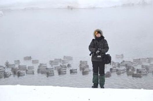 Орнитологи приглашают жителей Башкирии подсчитать зимующих птиц