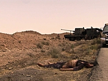 Британский министр обороны надеется на изоляцию Ракки к весне