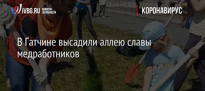 В Гатчине высадили аллею славы медработников