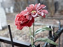 В Башкирии роженица выбросила из окна роддома чужого младенца