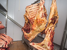 Россия – страна мясоедов: о мясных предпочтениях россиян рассказал эксперт