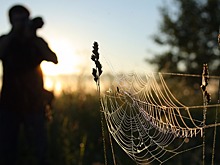 Работы северокавказских фотографов представят на выставке в Нальчике
