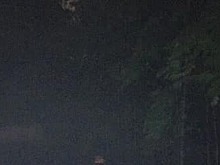 В Щукинском лесопарке восстановили освещение