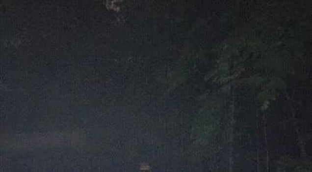 В Щукинском лесопарке восстановили освещение