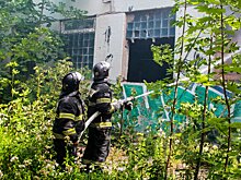 В Подмосковье под Ногинском загорелся лес