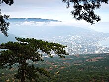 В Крыму нашли части древнеримского корабля