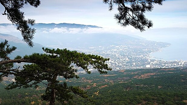 В Крыму нашли части древнеримского корабля