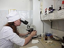 20 августа на Кунцевском рынке пройдет окружной конкурс Московских мастеров