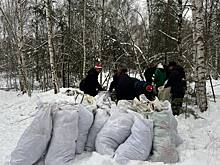 Около 4 000 кубометров мусора вывезли из нижегородских лесов в этом году