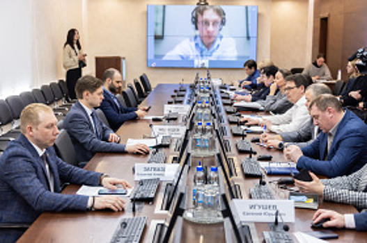 Обеспечение земельными участками многодетных семей обсудили на заседании Комитета по социальной политике в Думе Ханты-Мансийска