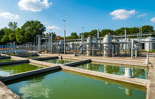 Глава городского округа Пушкинский Максим Красноцветов оценил состояние очистных сооружений