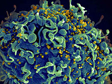 Мифы и факты о ВИЧ и СПИД