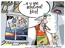 Эксперт сравнил смену правительства Украины с борделем, в котором переставили кровати