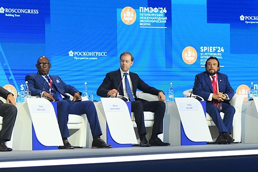 Правительство решило продлить параллельный импорт на 2025 год