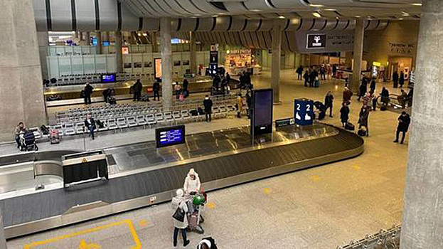 Петербургские школьники отправились в путешествие в Арктику