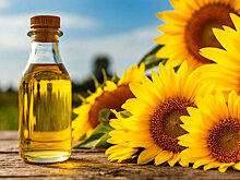 Бизнес в РФ заявил о снижении производства подсолнечного масла