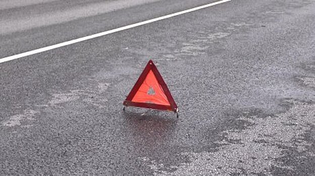В ДТП в Нижегородской области погибли два человека