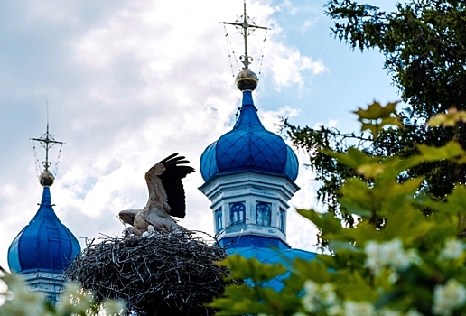 Священника, призывавшего РПЦ раскрыть доходы, запретили в служении