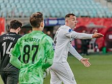 Игнашевич призвал к уважению Дзюбы