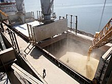 Экс-советник Кучмы: отказ Польши от украинского зерна стал ударом в спину Зеленскому
