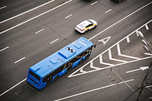 Выделенные полосы для транспорта введут еще на пяти участках улиц