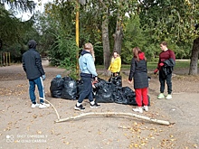 Омичи навели порядок в Советском парке, примкнув к мировому тренду