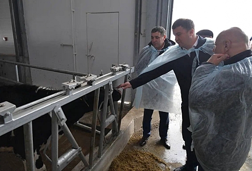 Виталий Хоценко открыл новый животноводческий комплекс в Марьяновском районе