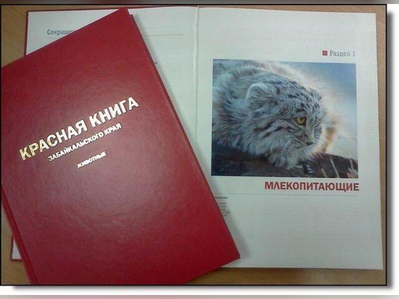 Работы по изданию Красной книги Забайкалья идут по графику