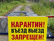 На Колыме больше 600 куриц изъяли у фермеров из-за птичьего гриппа
