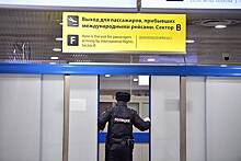 Бортпроводника задержали в аэропорту Москвы за кражу 10 литров алкоголя