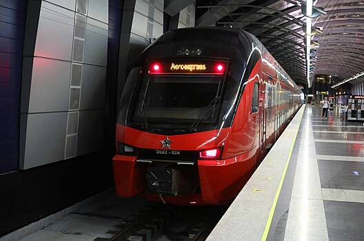 Стало известно о движении «Аэроэкспрессов» после открытия метро во Внуково