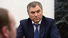 Володин обвинил руководство Польши в ущербности