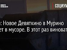 Видео: Новое Девяткино в Мурино утопает в мусоре. В этот раз виновата не УК