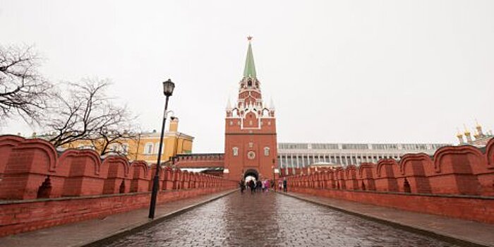 Главврач столичной поликлиники пытался пронести в Кремль боеприпас