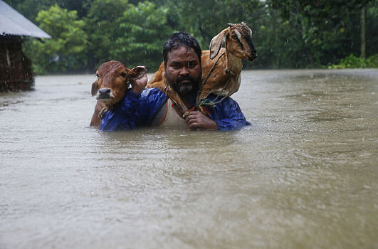 В Азии миллионы людей пострадали от жуткого дождя
