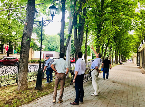 Межведомственная комиссия обследовала деревья на проспекте Кирова в Пятигорске