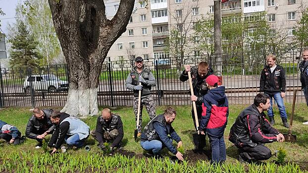 На юге России высадили почти 3 млн деревьев в рамках акции "Сад памяти"
