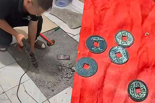 WOB: китаец разобрал в квартире пол, который царапала собака, и нашел там монеты