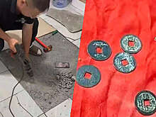 WOB: китаец разобрал в квартире пол, который царапала собака, и нашел там монеты