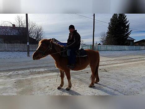 В Чите испуганная лошадь сбила двоих детей на площади Труда