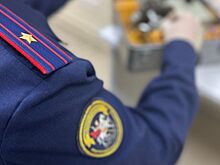 Дончанина осудили за убийство сожительницы