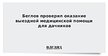 Беглов проверил, как реализуется оказание медицинской помощи для дачников