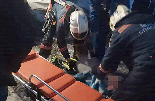 В Новосибирске в Дзержинском районе спасатели сняли с дерева обнаженного мужчину