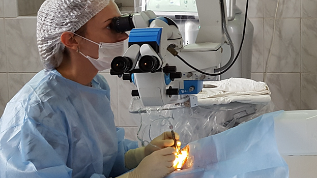 За две недели 11 саратовцев получили тяжелые травмы глаз при работе с триммерами. Один ослеп