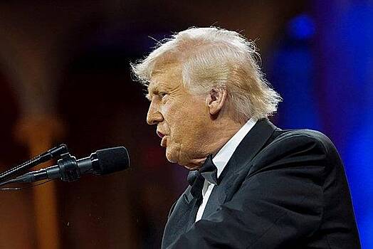 Трамп назвал кадры падения вертолета в Гудзон ужасающими