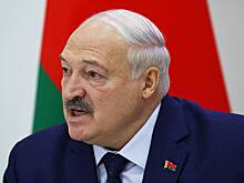 Лукашенко усомнился в планах Франции создать ядерный зонтик над ЕС