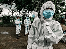 В Россию придут коронавирус и грипп: когда ждать эпидемию