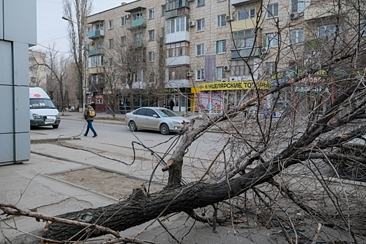 МЧС предупреждает жителей Волгоградской области о штормовом ветре
