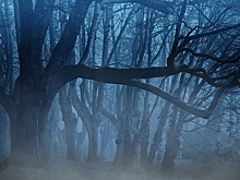 В Самарской области у кладбища нашли тело жителя Димитровграда